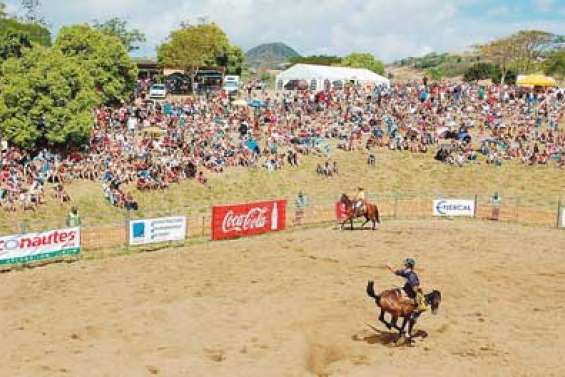 Plus de 20 000 visiteurs à la Fête du boeuf