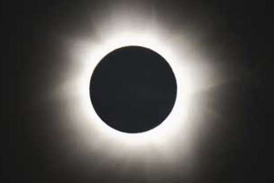 Plongés dans la nuit