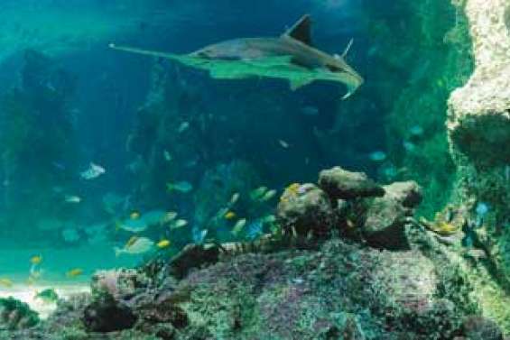 2,3 millions de km2 protégés