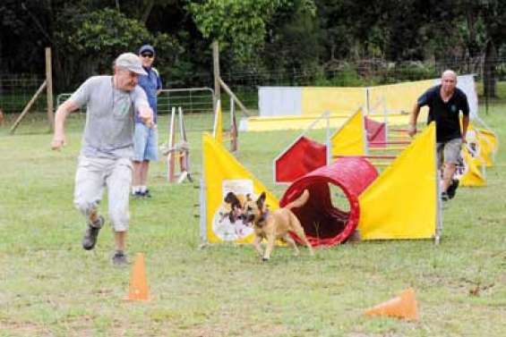 L'agilité, ça s'apprend