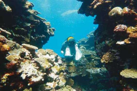 Baptême au cœur de Voh