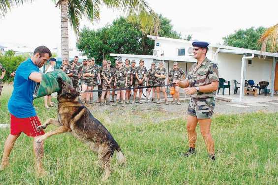 Des vacances en treillis