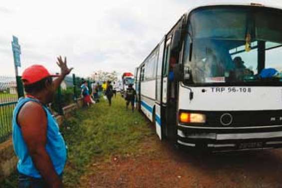 Bus de Brousse : l'heure de la révolution