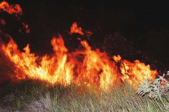 Un feu sous surveillance