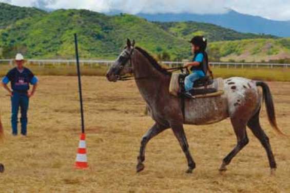 Les cavaliers remontent en selle