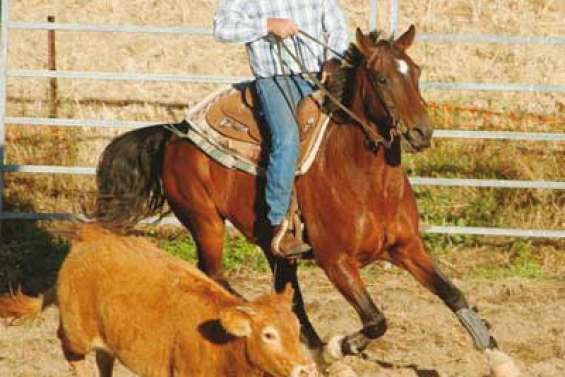 La compétition est lancée