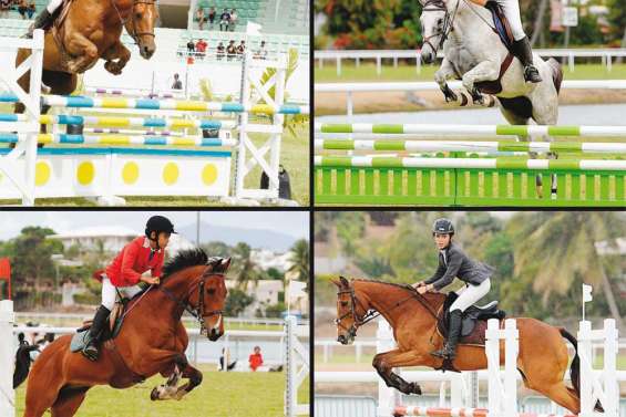 Les poneys dans la danse