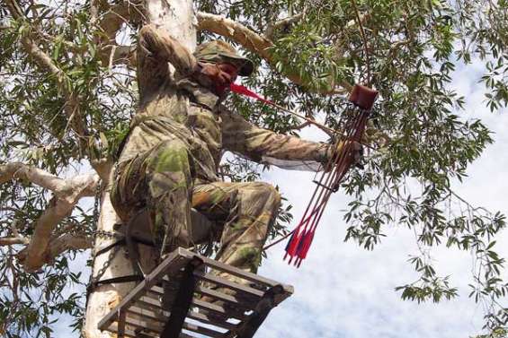 L'art de la dissimulation