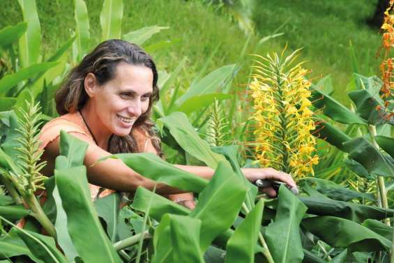 L'oiseau en son paradis