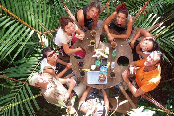 Sur un arbre perché