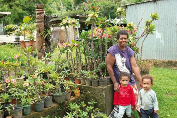 Qui s'y frotte, s'y pique