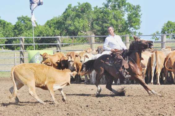 Une vitrine pour le Caillou