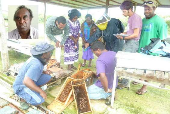 Une miellerie en projet à Lifou