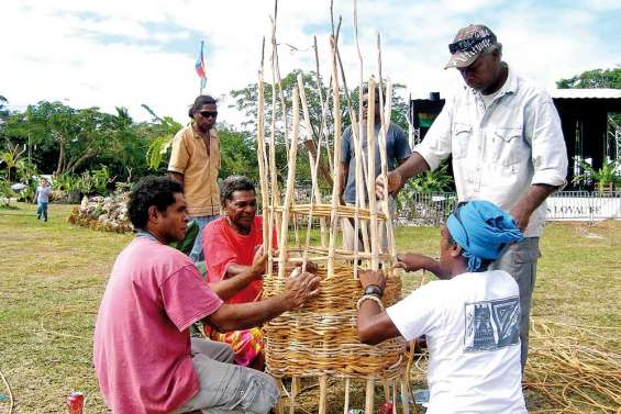 Mucaweng gère la fougère