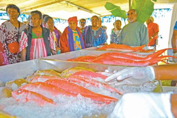 Roh frétille déjà