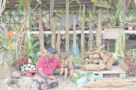 Un condensé des Loyauté