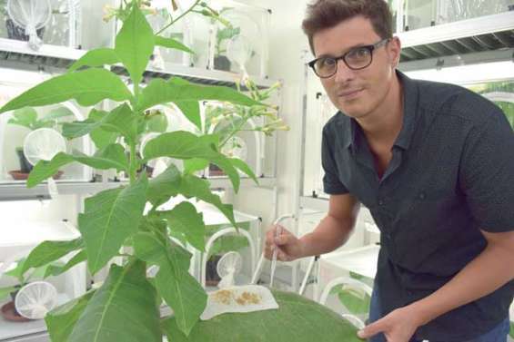 Bruno en pince pour les insectes