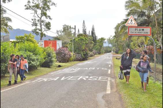 Passer Plum au numérique