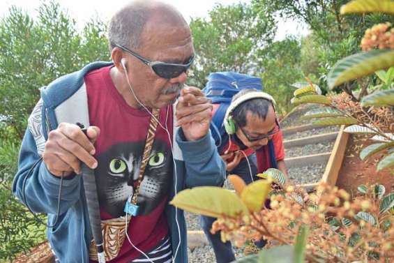 Sentir, toucher et écouter la nature du maquis du Sud