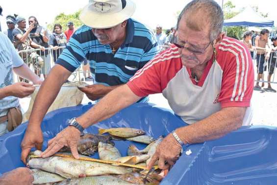 Le « papa du bossu doré » a la pêche !