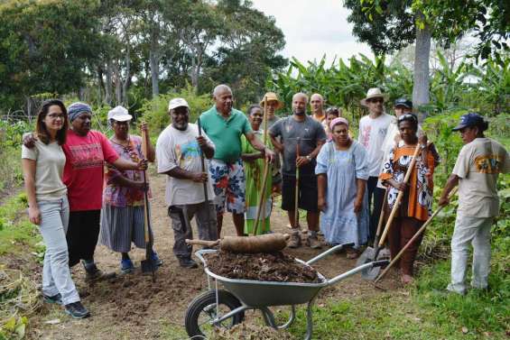 Dans le même panier