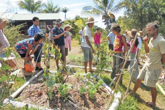 Les agriculteurs bio possèdent leur propre banque de semences
