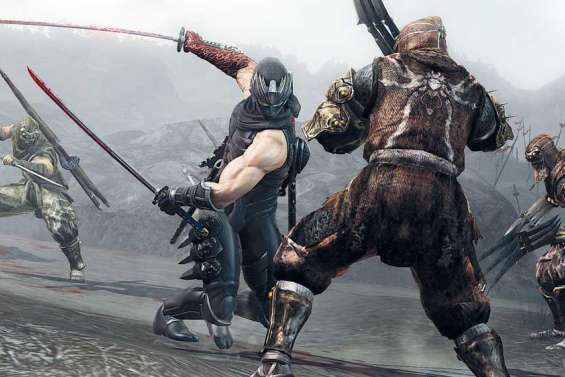 La vengeance du ninja