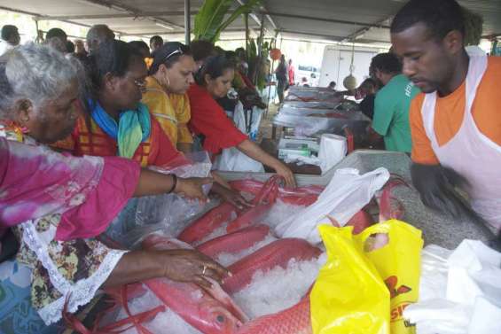 Unité autour du vivaneau