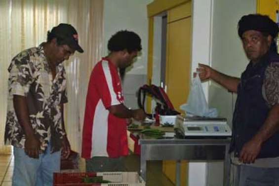 Une récolte qui sent bon