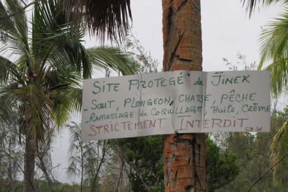 Une crème solaire qui prend soin des coraux