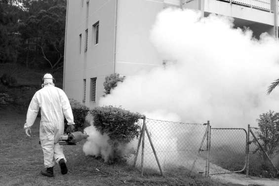 Un cas importé  de dengue confirmé