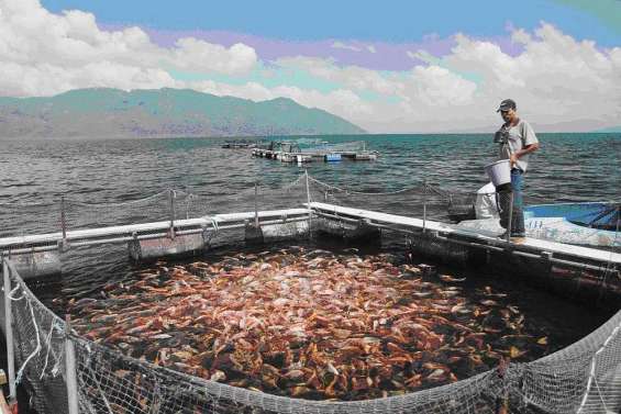 C'est parti pour les Australia Awards