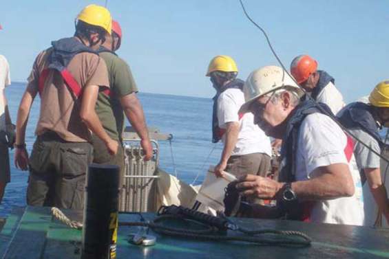 Nectalis en quête du phytoplancton