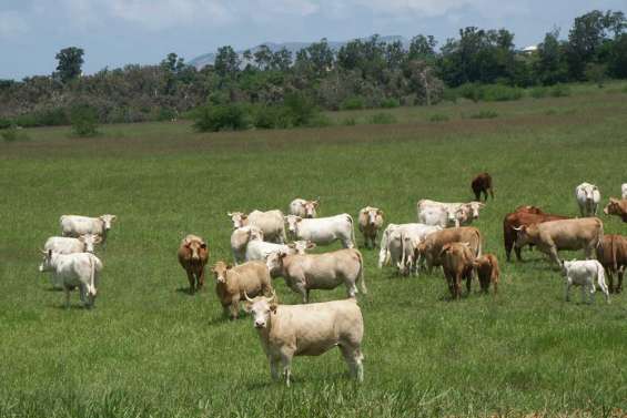 L'Ocef fait un pas  de plus vers le monopole