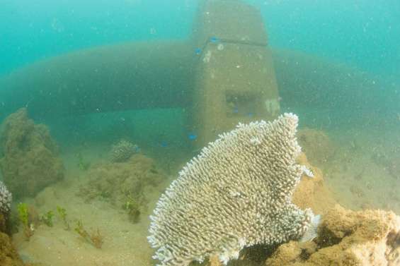 Grand tuyau : arrêt de l'usine du Sud 