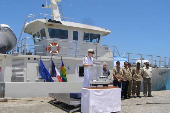 L'Amborella par trois fois baptisé