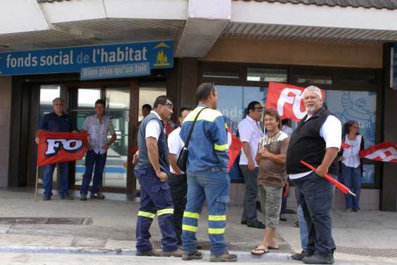 FO en démonstration devant le FSH