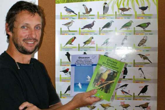 Les oiseaux à la page