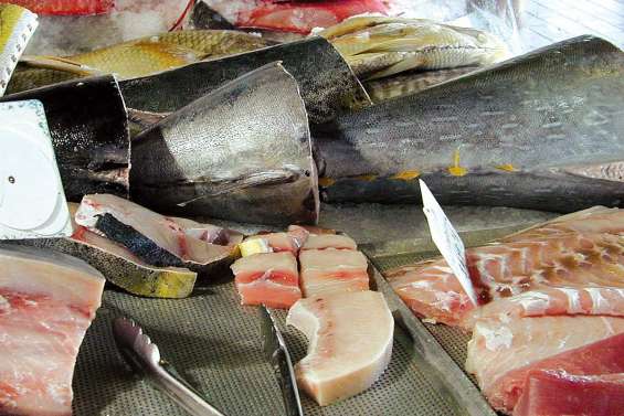 Attention au mercure des poissons