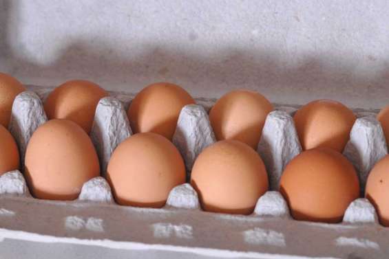 La filière doit se remplumer