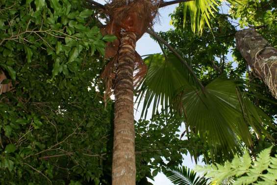 Le prix de la biodiversité