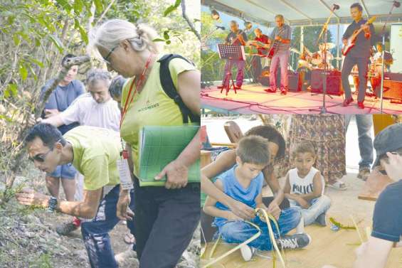 400 fans de la chlorophylle