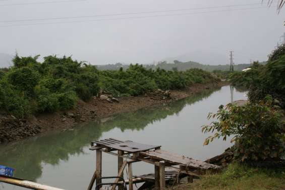 Quel mal décime les poissons de Ducos ?