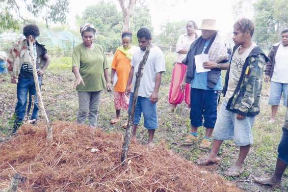 L'insertion par le bio
