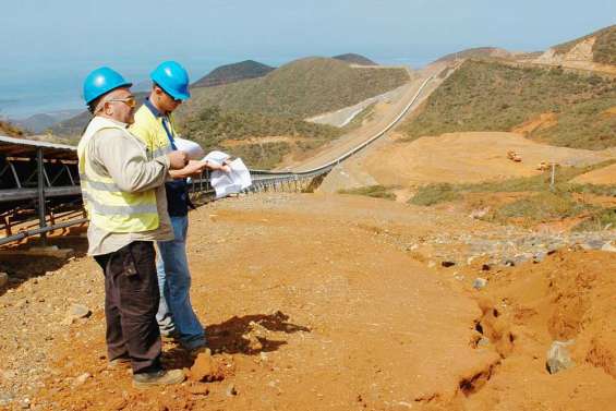 Ça pousse sur le Koniambo