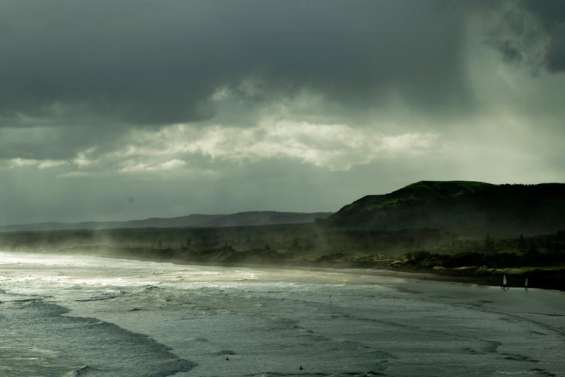 Les Kiwis dans la tempête