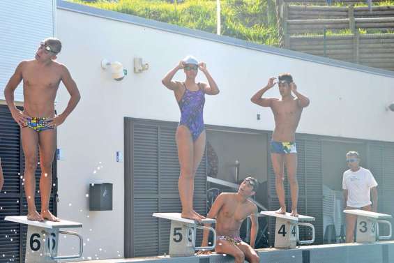 Plongée dans le grand bain
