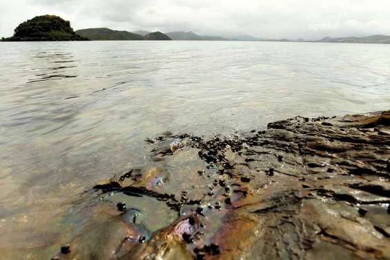 La pollution serait d'origine terrestre