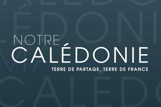 Consultez en ligne le manifeste de Pierre Frogier