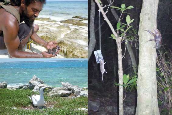 Une éradication durable